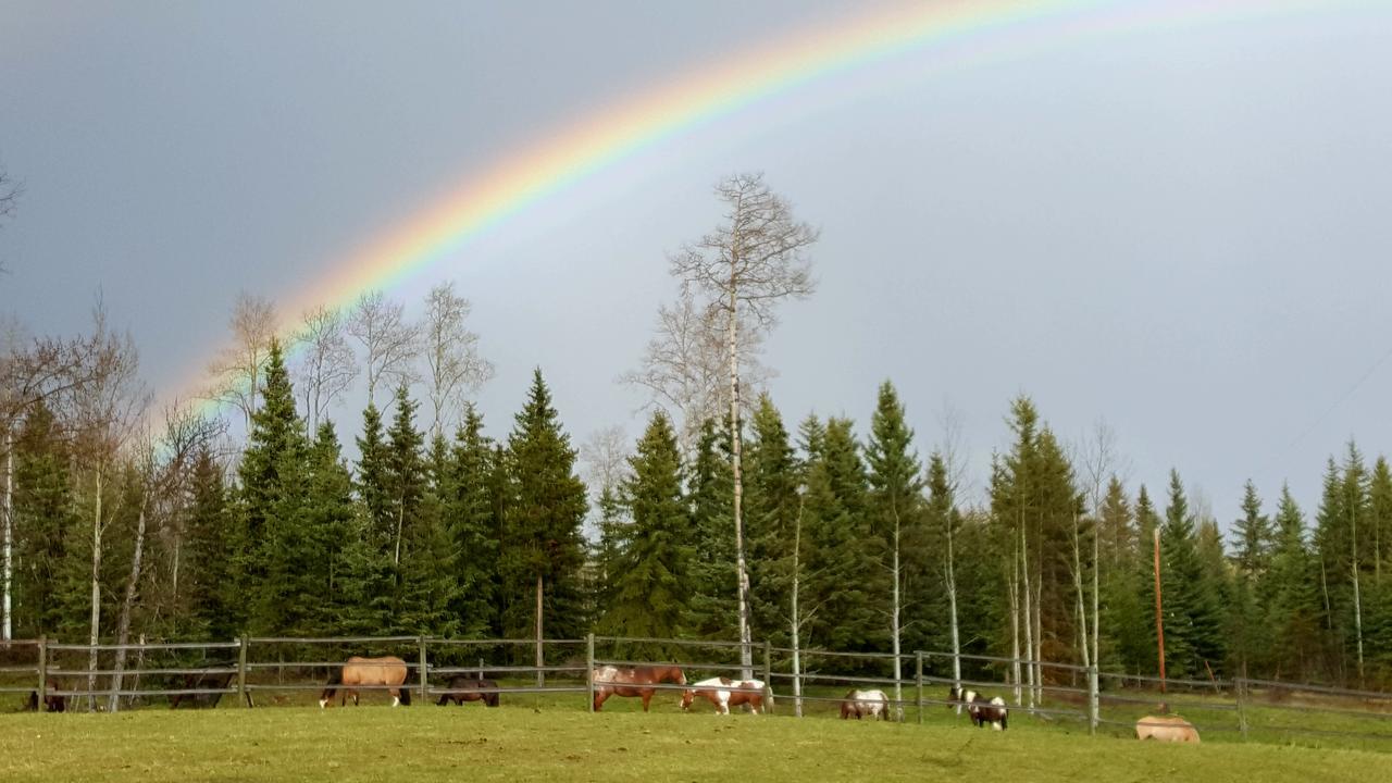Wettstone Guest Ranch Bed and Breakfast Bridge Lake Εξωτερικό φωτογραφία