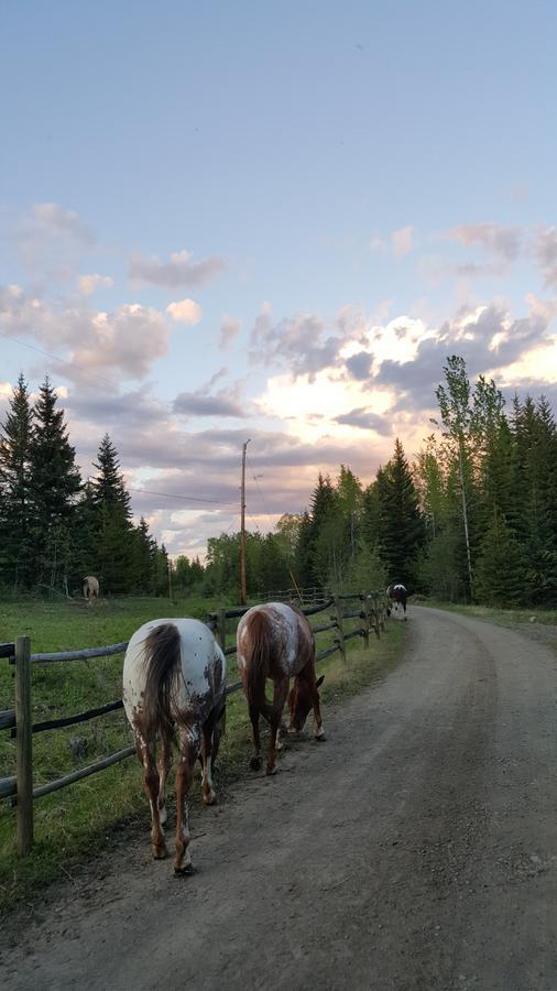 Wettstone Guest Ranch Bed and Breakfast Bridge Lake Εξωτερικό φωτογραφία