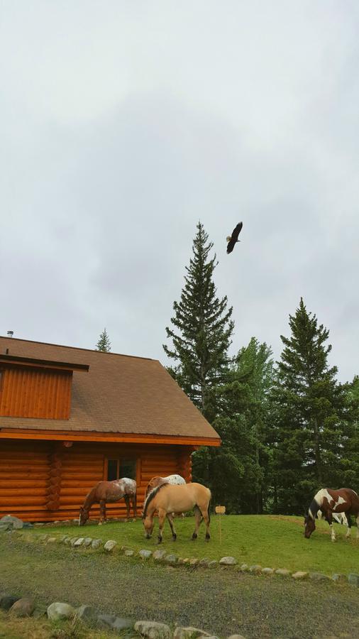 Wettstone Guest Ranch Bed and Breakfast Bridge Lake Εξωτερικό φωτογραφία