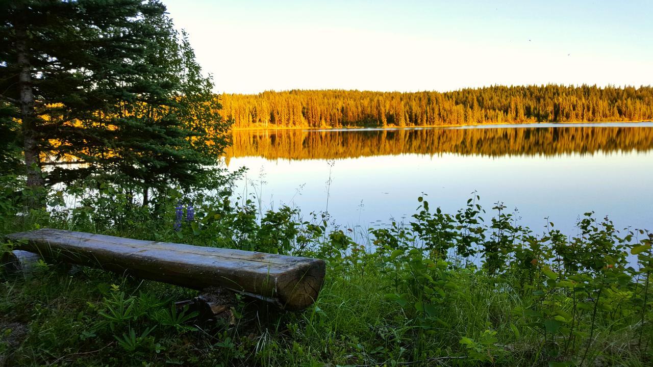 Wettstone Guest Ranch Bed and Breakfast Bridge Lake Εξωτερικό φωτογραφία
