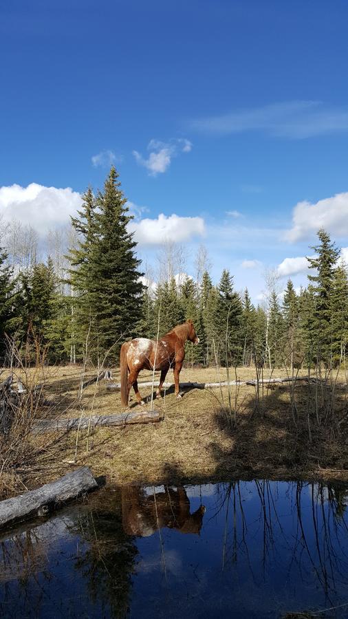 Wettstone Guest Ranch Bed and Breakfast Bridge Lake Εξωτερικό φωτογραφία