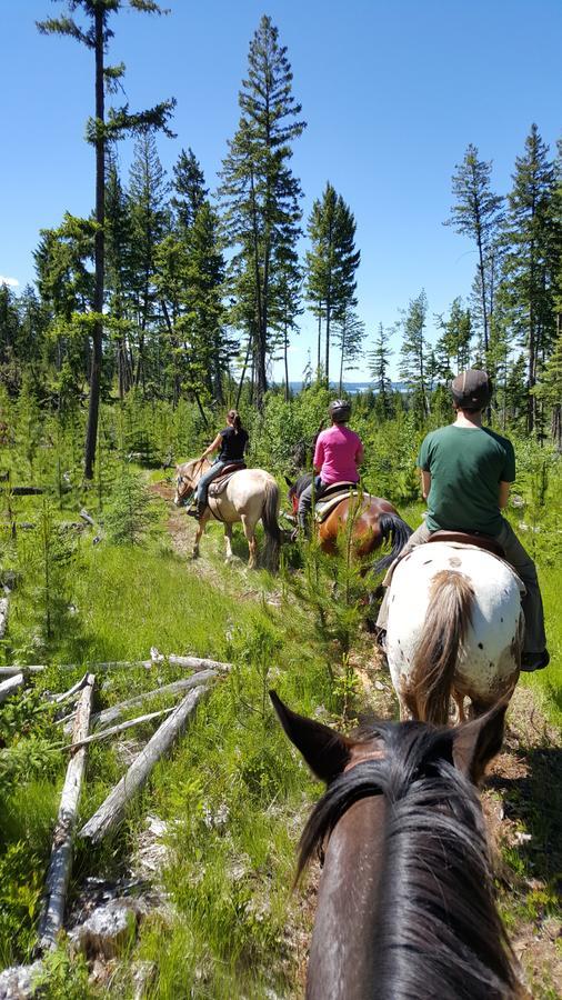 Wettstone Guest Ranch Bed and Breakfast Bridge Lake Εξωτερικό φωτογραφία