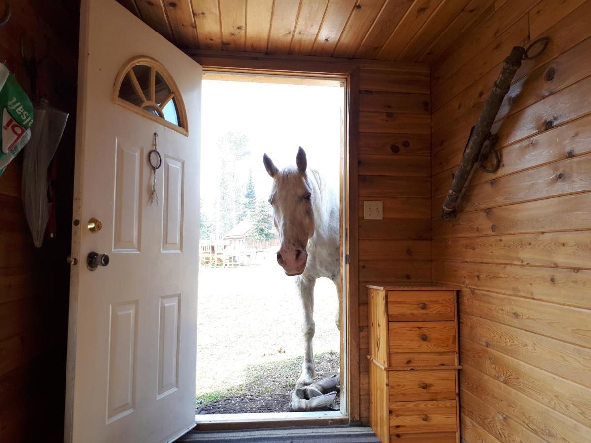 Wettstone Guest Ranch Bed and Breakfast Bridge Lake Εξωτερικό φωτογραφία