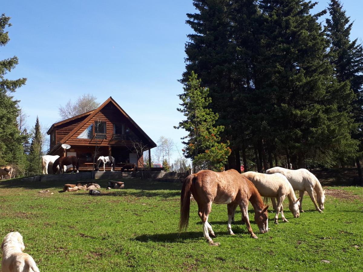Wettstone Guest Ranch Bed and Breakfast Bridge Lake Εξωτερικό φωτογραφία